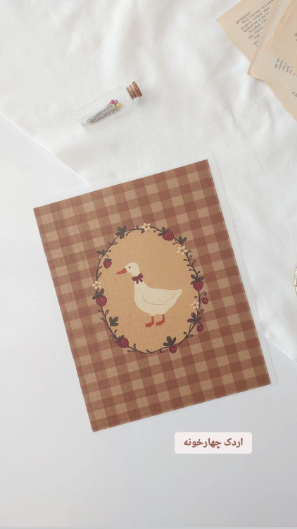 اردک چهارخونه