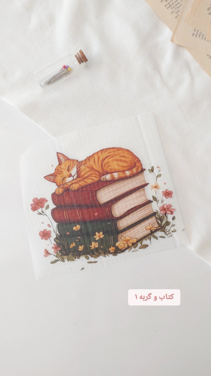 کتاب و گربه ۱